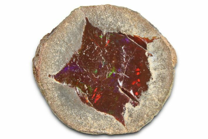 Ethiopian Chocolate Opal Nodule - Yita Ridge #369084